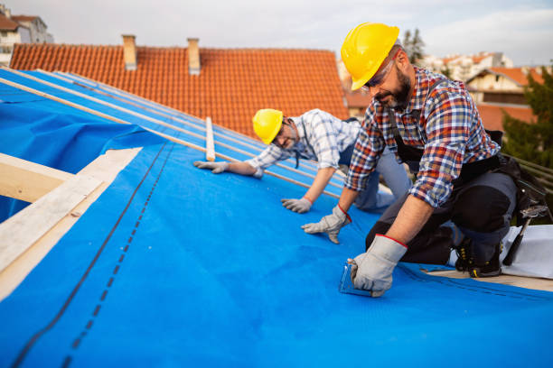 Best Rubber Roofing (EPDM, TPO)  in Tichigan, WI